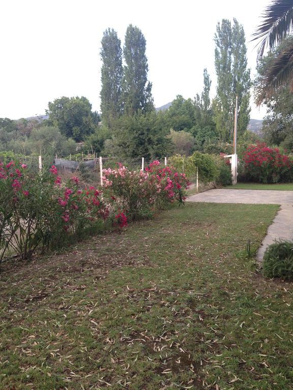Villa Niki Neos Marmaras Exteriér fotografie